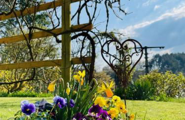 Ferienwohnung Johanna - Photo 11