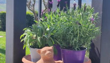 Casa San Rocco - Foto 3