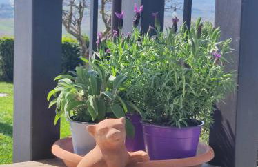 Casa San Rocco - Foto 3