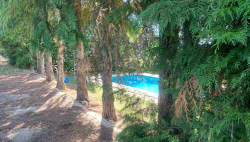 Casa de Pereiras, Vimioso - Foto 3