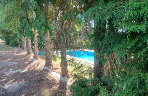 Casa de Pereiras, Vimioso - Foto 3