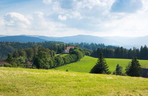Ferienwohnung Meierhof, 38qm - Foto 10