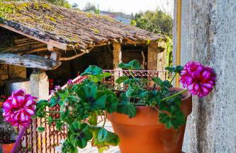 Casa do Ribeiro - Foto 19