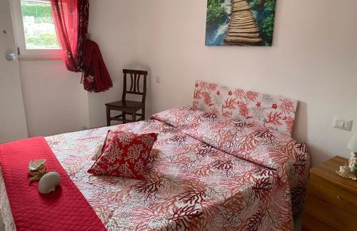 Ponzamania Da Cecilia - Foto 44