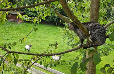 Souterrainwohnung im Grünen - Foto 51