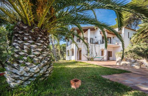 Tamariu Montagut Domain - Foto 15