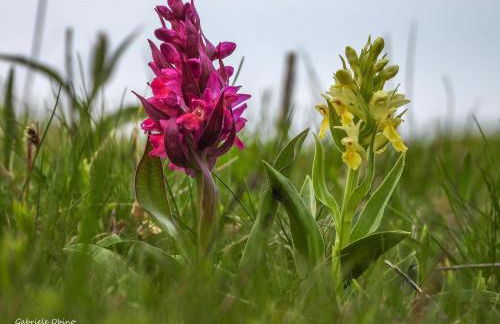 Casa Blanche - Photo 38