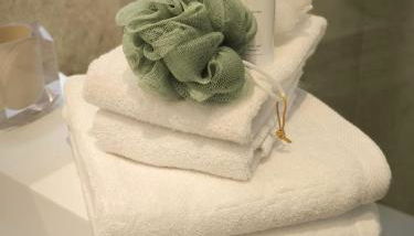 CEMMA luxury apartment - Photo 3, towels