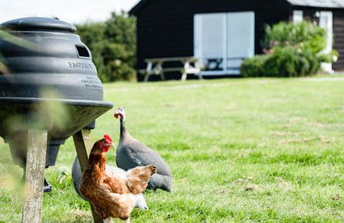 Puffin Lodge - Photo 21