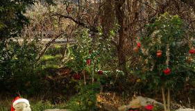 El Retiro de Isabel - Foto 2