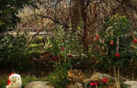 El Retiro de Isabel - Foto 2