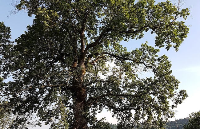 Agriturismo Cisogna - Foto 31