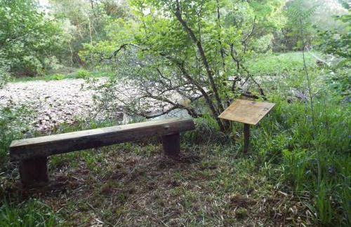 The Singing Heart, TirNaNog Cozy Cottage near Lochgilphead !!HIDDEN GEM!! - Foto 51