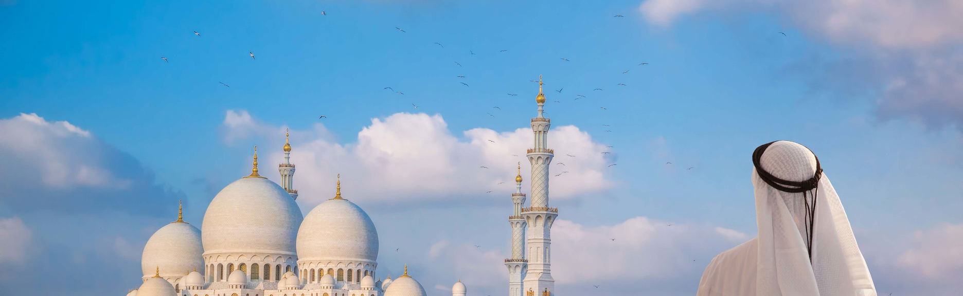 Tour por Abu Dhabi + Entrada al museo Louvre