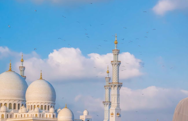 Abu Dhabi City Tour - Photo 1