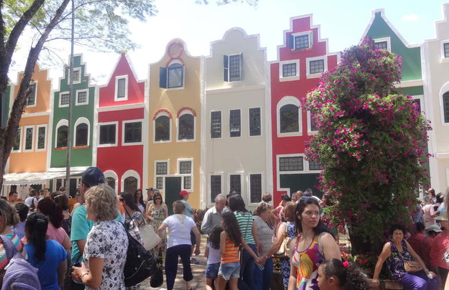 Escursione a Holambra - Foto 5