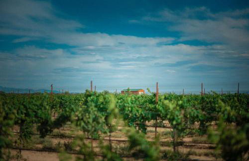 Nude Glamping Dome - Foto 24