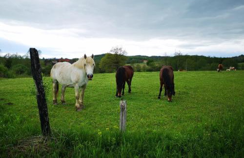 Naša mala koliba - Foto 22