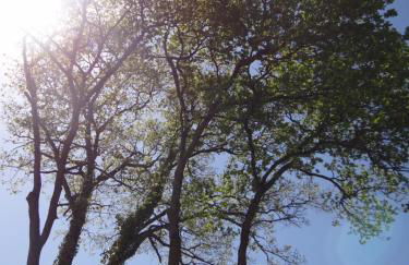 Domaine Des Coutelleries - Foto 28