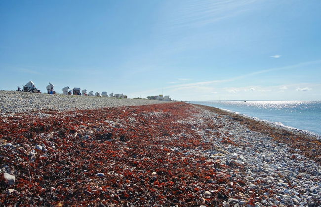 Exclusives Appartement auf Fehmarn - Foto 31