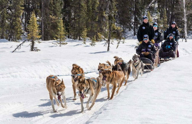 Paseo en trineo de perros husky en invierno - Foto 5