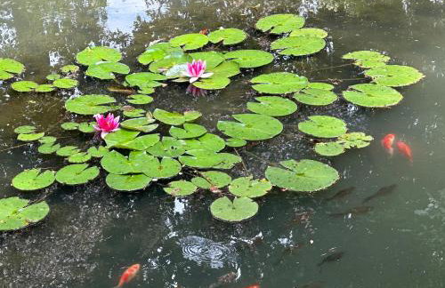 Serenity Garden Villas - Polanica-Zdrój - Foto 48