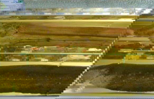 Fish Fauna Museum Tour in Beni - Foto 7