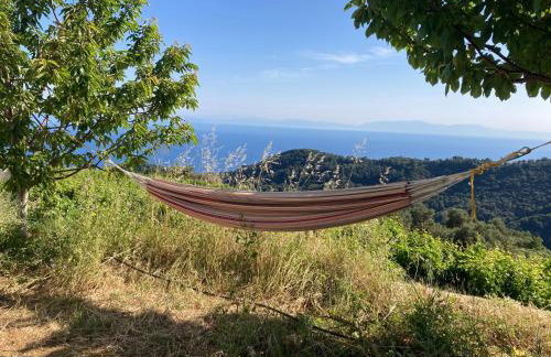 Manolates 360 - Photo 21