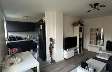 Superbe appartement au pied du RER A et U Arena - Foto 4