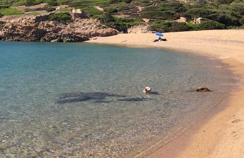 Rena MajoreHome, with parking - Foto 19