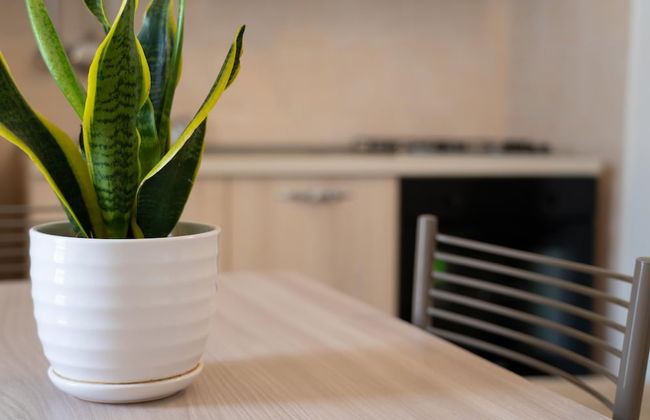 Appartamento Murena 8 - Foto 39