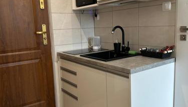 Apartament Zielony Kołłątaja - Foto 5, minibar