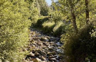 Ty Pandy Eclectic Luxury Family cottage Sleeps 8 adults and 2 children - Photo 58