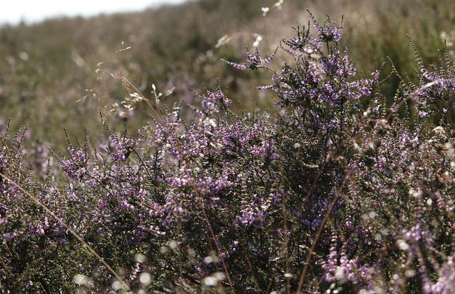 Holiday Home in Mook for 6 Person - Photo 24