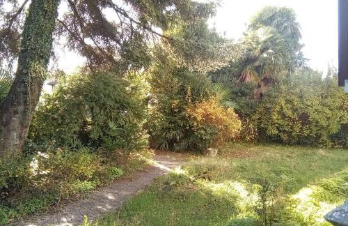 Villa Luigia - Photo 12