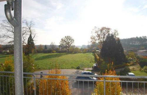 Schneeeule 203 - Foto 7