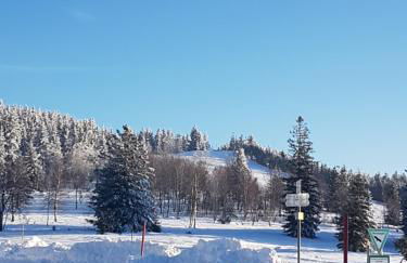 Ehrenmättlehof Faißt - Foto 20