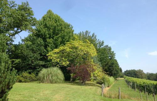 Clos Mirabel Manor - Holiday rental - Foto 67