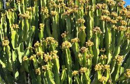 Un petit coin de paradis à Casa Bébé - Foto 22