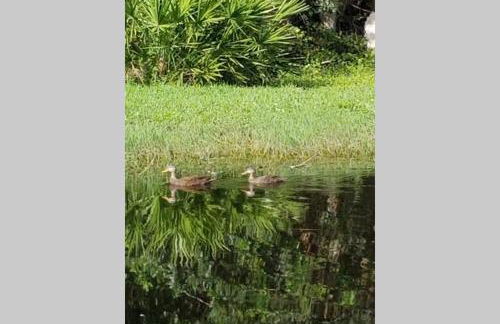 Bonita Oasis - Foto 19