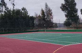 Quinta Cunha - Foto 15