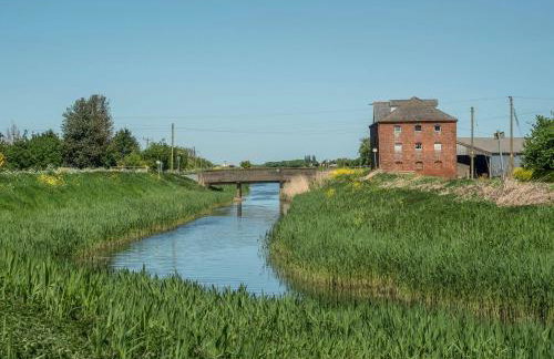 Kingfisher - Foto 25