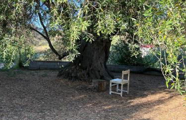 Casa Olea - Photo 48