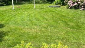 Hexenhäuschen im Ammerland - Foto 3, Garden view