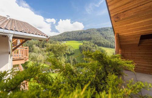 Sonnleiten Sterngucker 7 - Photo 20