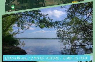 Maison sud des Landes proche Seignosse/ Capbreton / Soustons - Foto 53