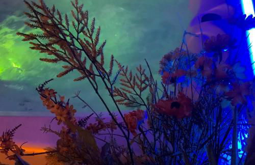 Frantoro - alloggio turistico - - Foto 41