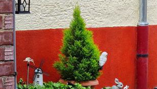 Monteurzimmer Lollar - Foto 2