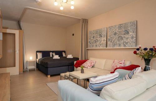 Gemütliche 2-Zi-Whg mit Balkon im Süden von HD - Photo 16