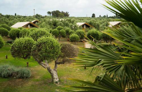 Agrikies Country Retreat - Foto 21